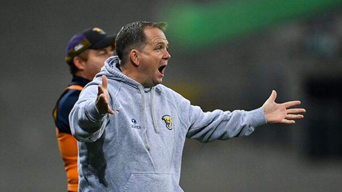 How well do you remember these famous hurling quotes? | Irish Independent